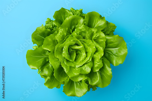 Green salad Isolated on Vibrant Bright Blue Background.