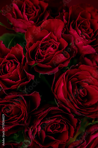 Bouquet of red roses on a red background. 