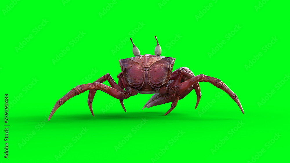 Walking sea Crab. 3d rendering.