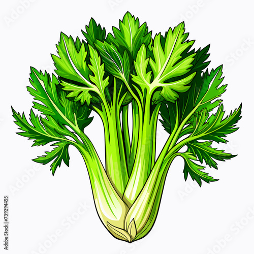 Celery, vegetable, real paint style, white background