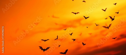 Eerie spectacle of a vast flock of bats soaring through the night sky © TheWaterMeloonProjec