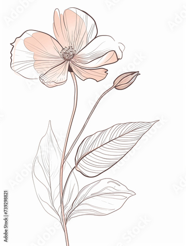 Elegant Floral Line Drawing with Shading