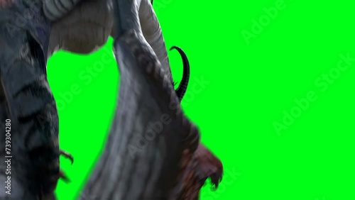 flying horror dragon. Fantasy concept. 4K green screen isolate photo