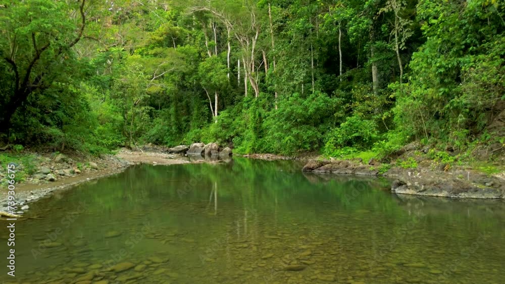A drone gently flies over the serene stretch of the Iravan River in the Philippines, encircled by majestic trees and lush greenery. A drone gently flies over the serene stretch of the Iravan River in the Philippines, encircled by majestic trees and lush greenery.