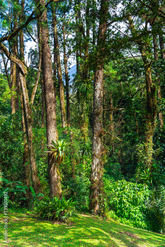 El Arenal National Park  Costa Rica