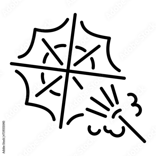 Cobweb Cleaning 