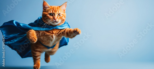 Superhero cat, cute Siberian red tabby kitten in a blue cloak and mask jumps and flies on a blue background with copy space. Concept of superhero, super cat, leader, funny animal shot in studio