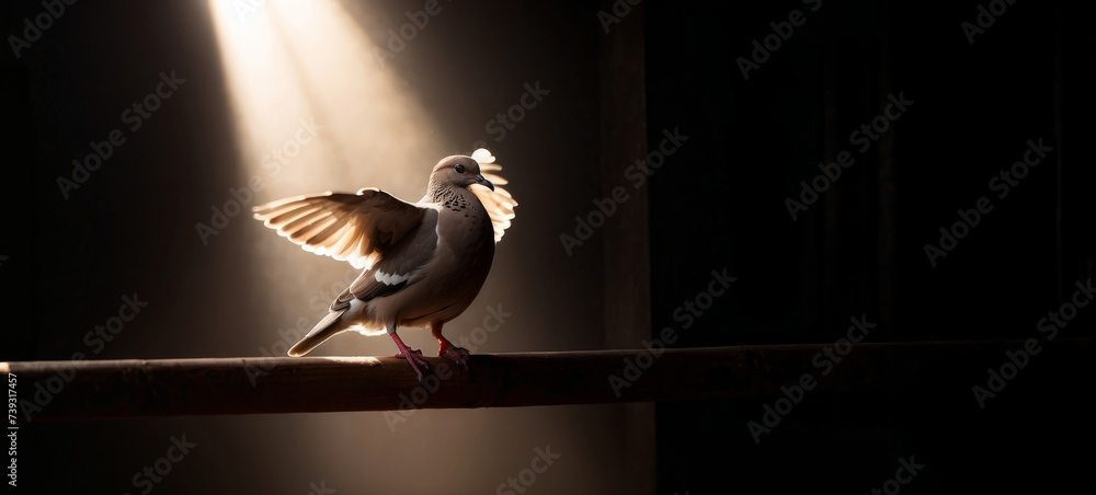 Winged dove with copy space, a representation of the New Testament Holy Spirit
