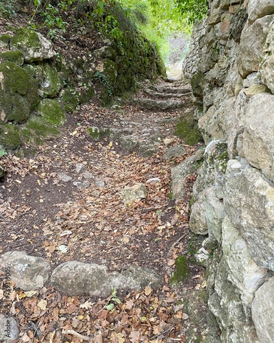 old shepherds pathway with stonewalls through the forest photo