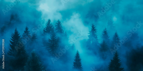 Blue Mist Morning in a Dense Coniferous Forest photo