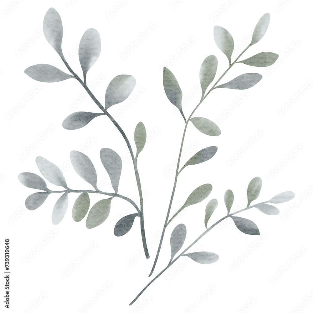 Watercolor plant. Grey color. Delicate watercolor botanical element for wedding invitations, save the date, thank you, greeting card, poster. Leaves elements.