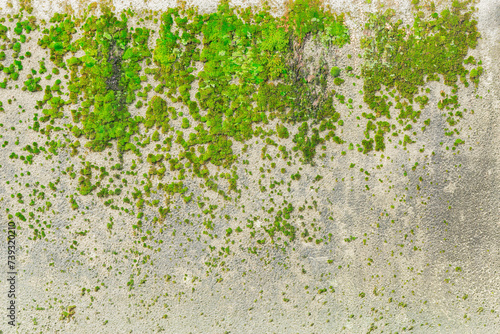 Ancient gray concrete wall background.