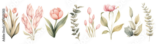 Spring flowers set Vintage pastel flowering plants, isolated on white background