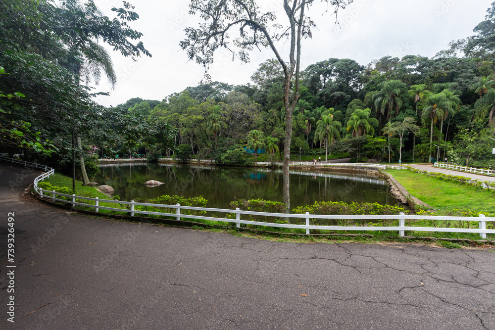 SÃO PAULO, SP, BRAZIL - FEBRUARY 03, 2024: Smaller lake in the wooded Alberto Lofgren State Park, better known as Horto Florestal (forest garden).