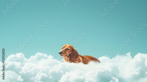 Dog Floating Peacefully Among the Clouds © vanilnilnilla