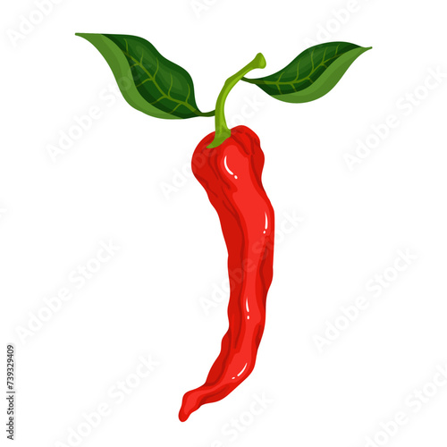 A pod of ripe red chili pepper. Vector graphics.