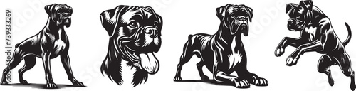 Boxer breed dog, full silhouette black and white vector