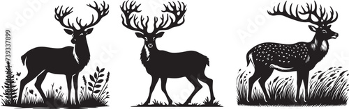 full silhouette of a deer with large antlers in the grass photo