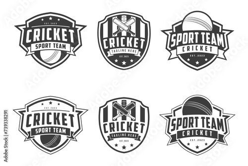 Cricket Logo Badge emblem, cricket team sport design, sticks and cricket ball vector monochrome style