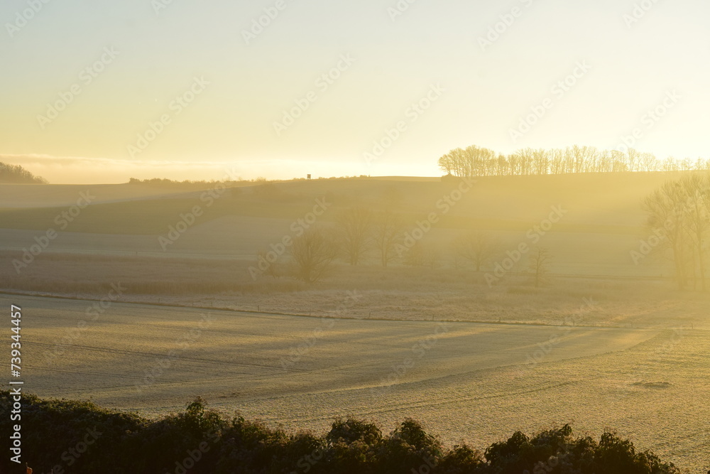 morning fog above the swampland in the Eifel