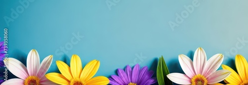 Banner spring flowers with free space in pastel colors 