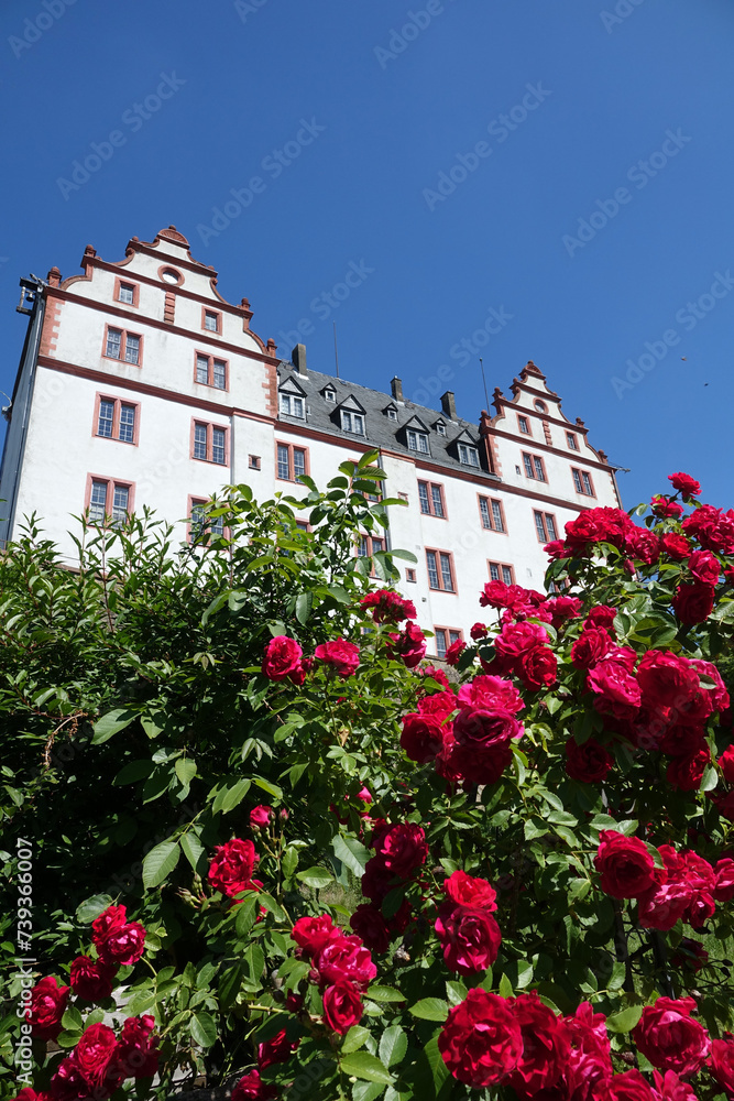 Fototapeta premium Schloss Lichtenberg im Odenwald