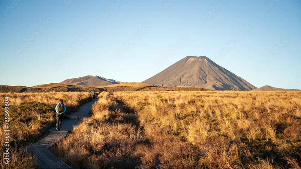 Tourists hiking during sunset in volcanic landscape towards big volcano in background, New Zealand