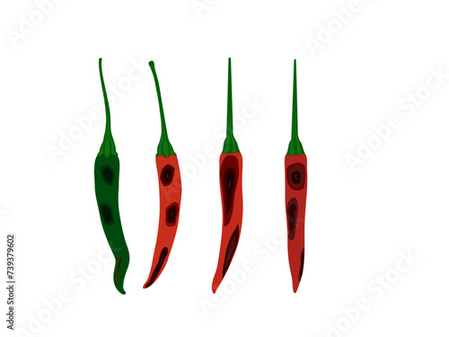 anthracnose chili peppers on a white background. photo