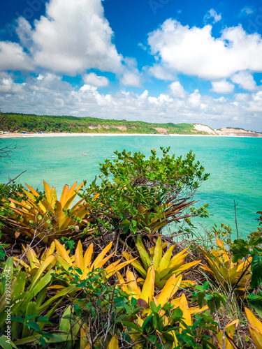 Tropical beach with palm trees  Summer weather  Photo at Praia da Pipa - Rio Grande do Norte  Brazil