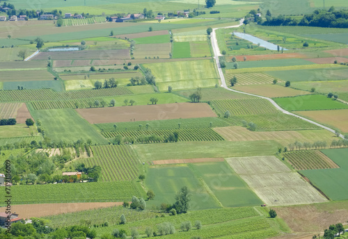 aerial view of cultivated fields in the plain in summer with the fields divided into rectangles and other geometric shapes