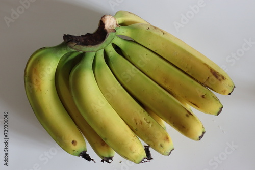 Robusta banana. Vibrant cluster of a dozen premium Robusta bananas, ripe and bountiful photo