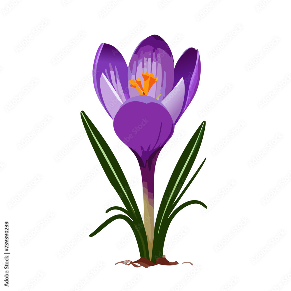 Vibrant Vector Illustration: Purple Crocus Flower