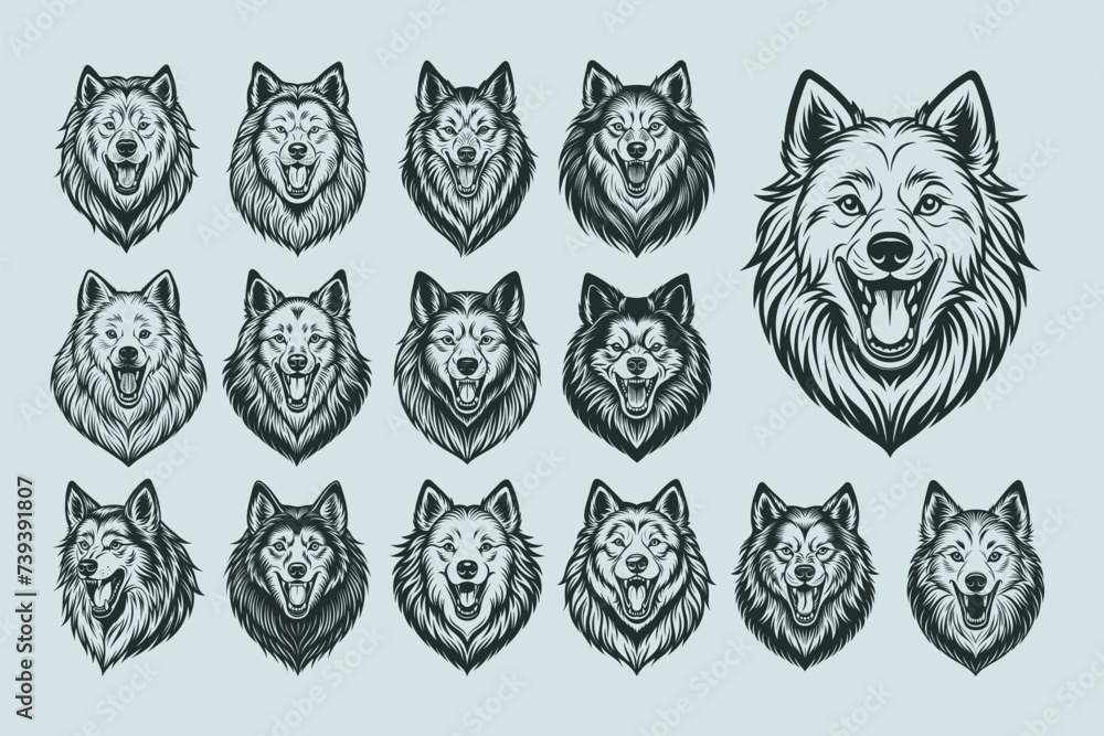 Collection of barking Samoyed dog head illustration design - obrazy, fototapety, plakaty 