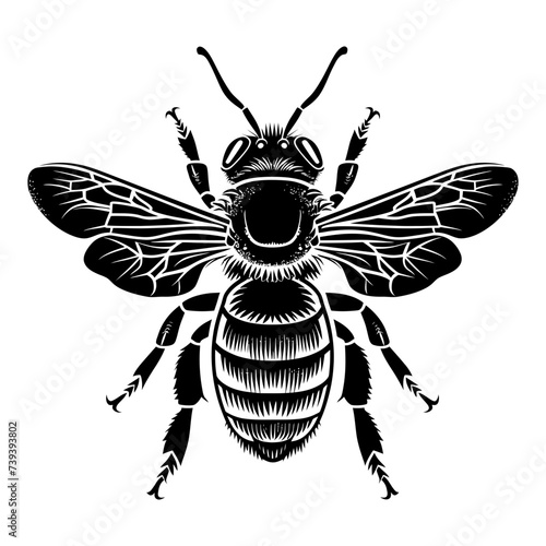 Silhouette bee animal black color only full body