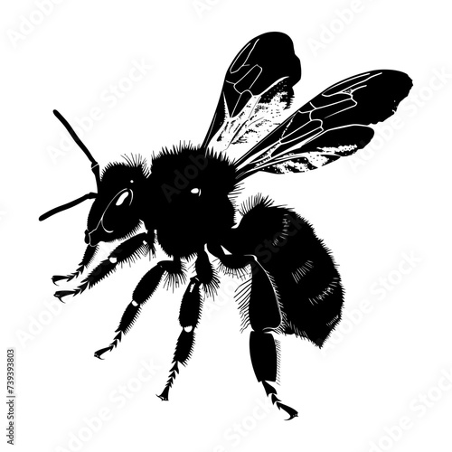 Silhouette bee animal black color only full body © NikahGeh