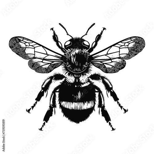 Silhouette bee animal black color only full body © NikahGeh