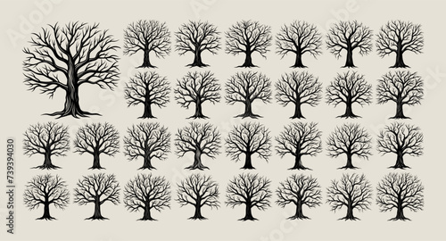 Collection of nature dead tree silhouette design photo