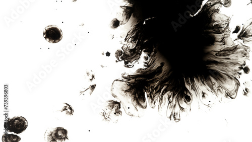 Bilde på lerret Macro Shot of Black Ink Drops Isolated on White Background