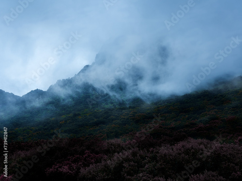 Fog and low clouds roll down the sides of a forested mountain, creating a striking play of chiaroscuro, similar to a dramatic painting