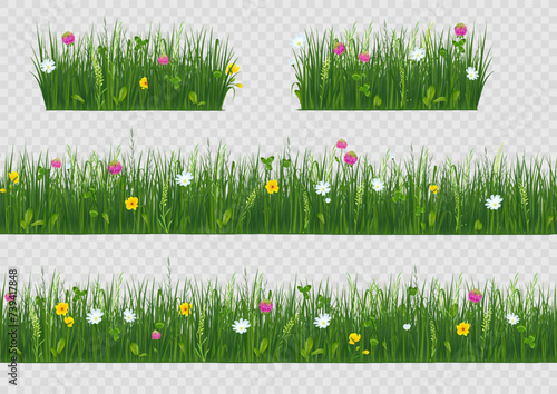 Spring flowers. 3d grass garden or meadow field with plants, green lawn grassland, clover wildflowers. Realistic botanical elements, herbal border, design background. Vector seamless landscape