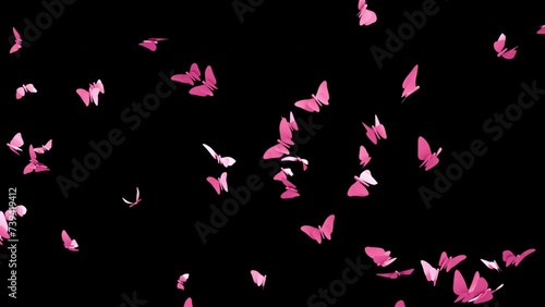 Butterflies.
This stock motion graphics video shows butterflies flying on a transparent background.