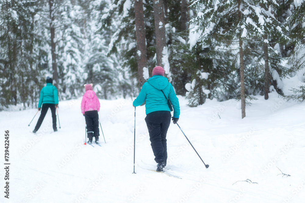 People ski in winter on a ski track through a winter forest.Cross Country skiing.