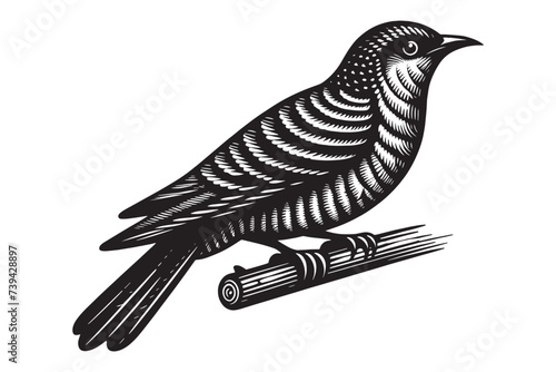 Cuckoo on a branch. Beautiful vintage engraving illustration, emblem, icon, logo, sketch. Black lines