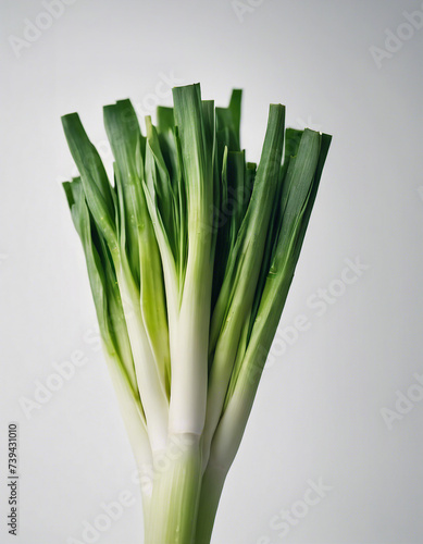fresh and organic leek, isolated white background, copy space for text
