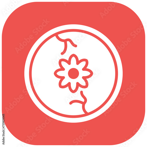 Old Plate Icon