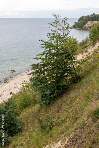 Steilküste am Nordpferd bei Göhren, Insel Rügen, Deutschland photo