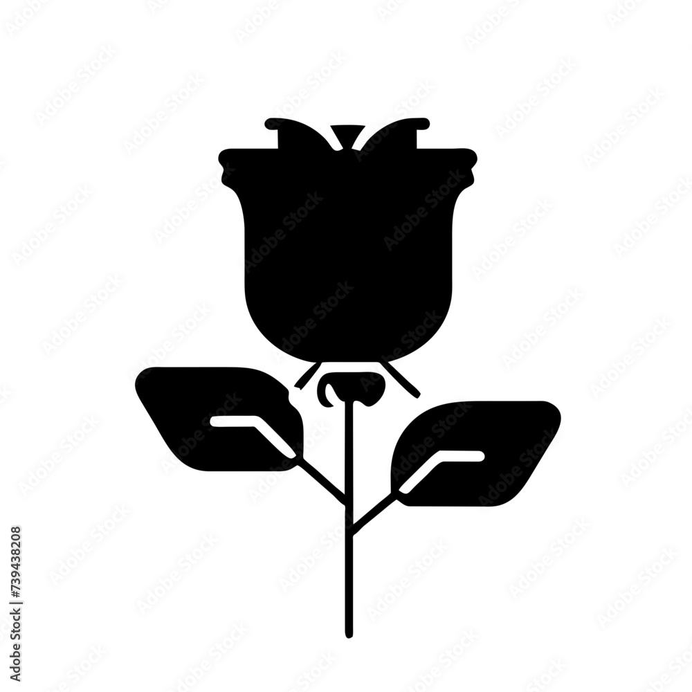 Rose Flower: A Symbol of Beauty and Love Rose Flower: A Symbol of Beauty and Love