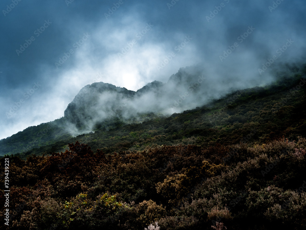 Fog and low clouds roll down the sides of a forested mountain, creating a striking play of chiaroscuro, similar to a dramatic painting