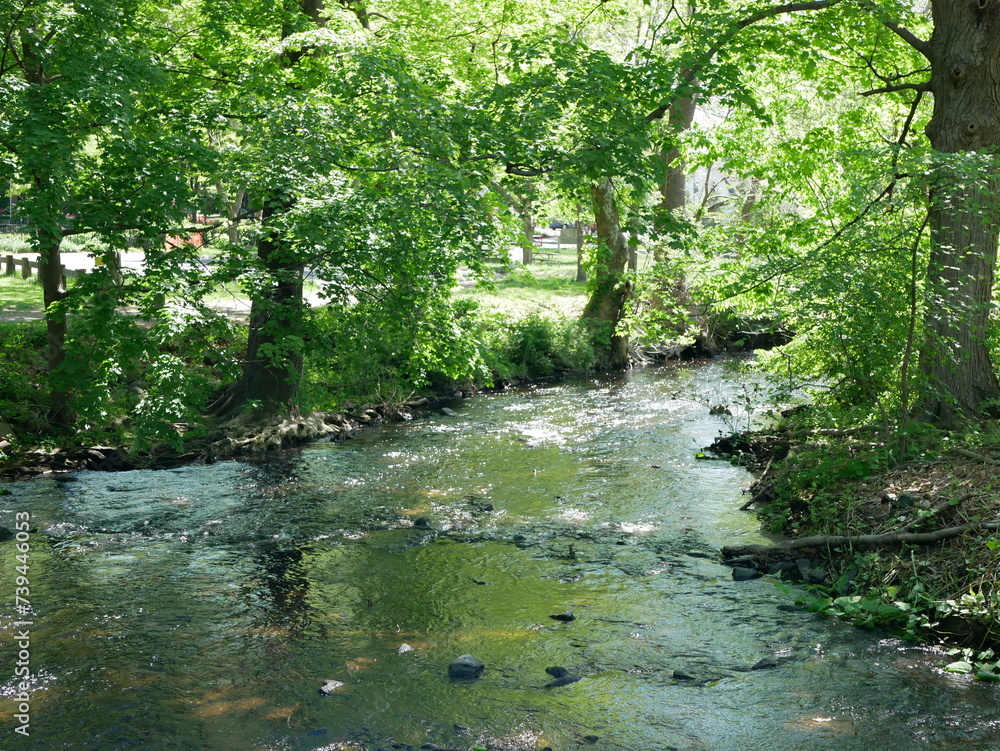 Stretch of river in a park in the United States, during spring, with trees with new green leaves and tranquility of nature Stretch of river in a park in the United States, during spring, with trees with new green leaves and tranquility of nature
