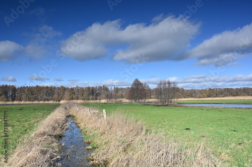 Entwässerungsgraben in den Moorwiesen bei Hagenburg an einem sonnigen Februarnachmittag
